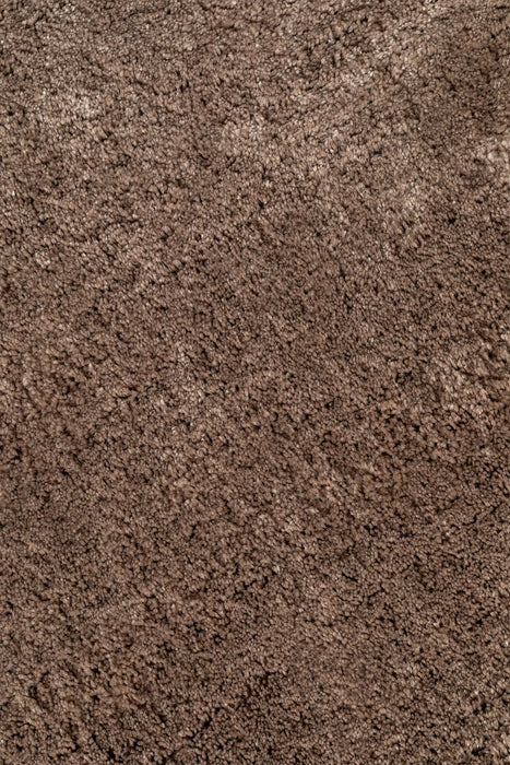 Carpet Daroca