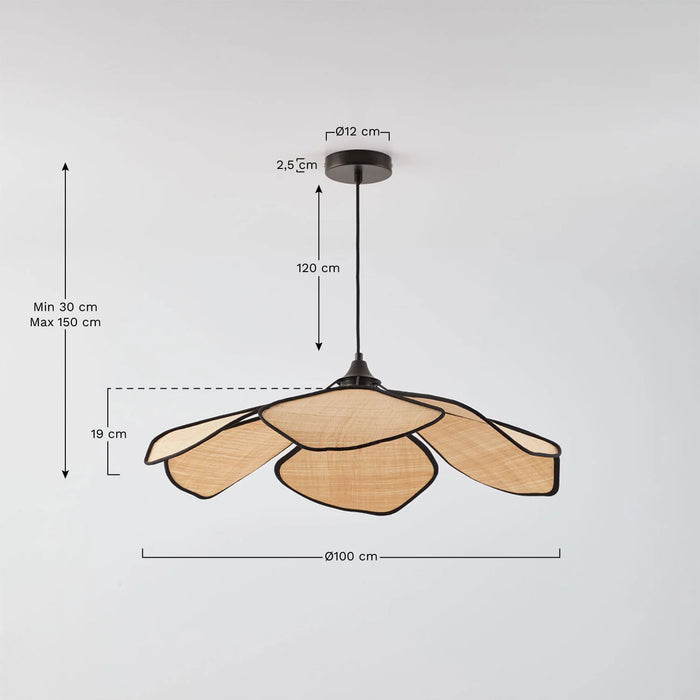 Hanging lamp Benavid