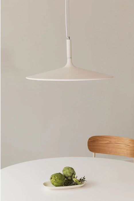 Pakabinamas LED šviestuvas Kaula