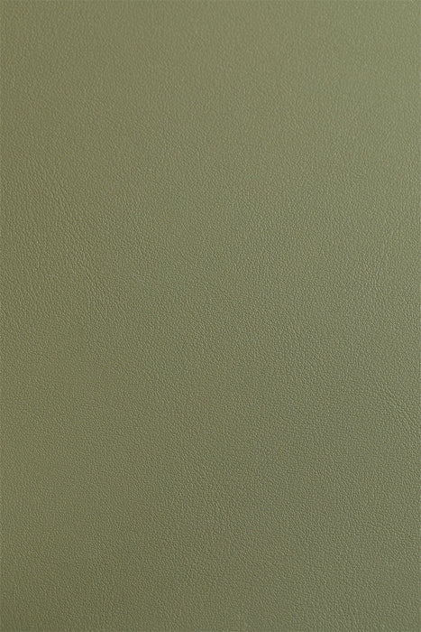 Dining chair Tento Chrome Green